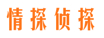 简阳市调查公司